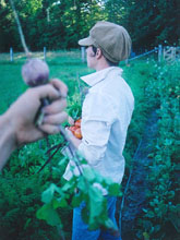 07_turnip.jpg