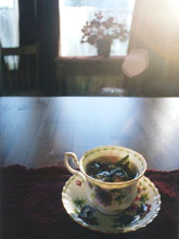 07_morningtea.jpg