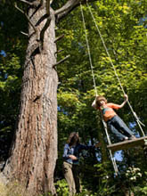 swing.jpg