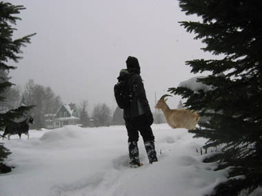 Winter in Nipissing