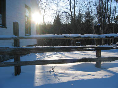Sunny Winter Day