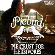 Vegan Pie Video