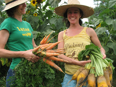 farmgirls gone wild