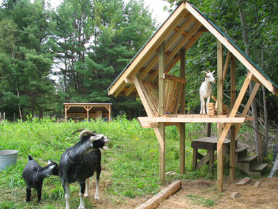 goat_manger_build