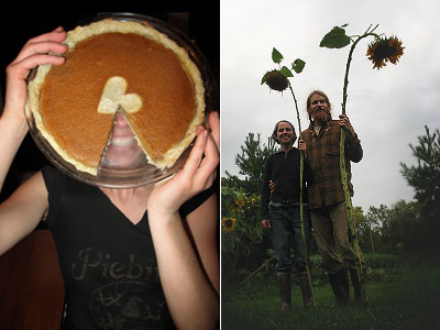 hot and heavy pumpkin pie