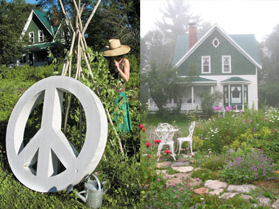 Peace Seeds