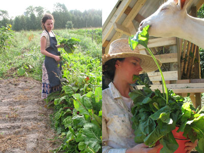sherry beet greens and sunshine