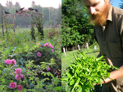 farm fresh