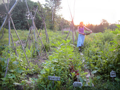 harvest dinner