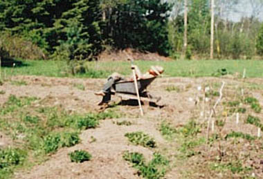 Yan sleeping in the wheelbarrow