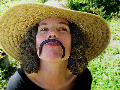 Bean Mustache