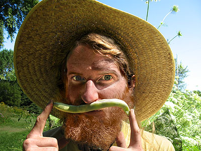 Bean Mustache