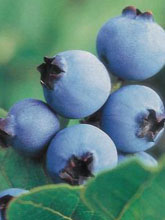 blueberries