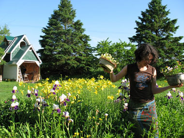 in the front garden, hobohouse in background