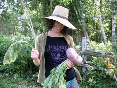 huge organic turnip