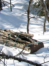 Mushroom Logs