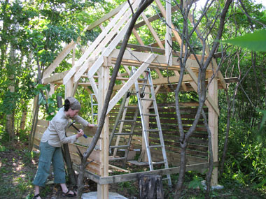 woodshed