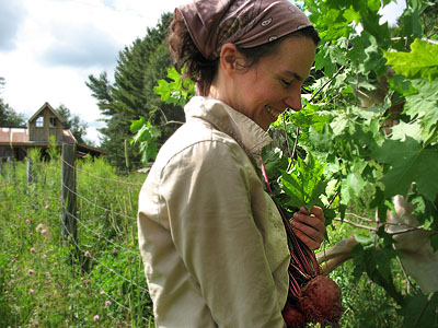 Sherry harvesting beets for a canning workshop