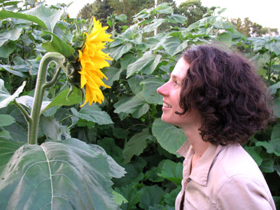 Having a conversation with a sunflower