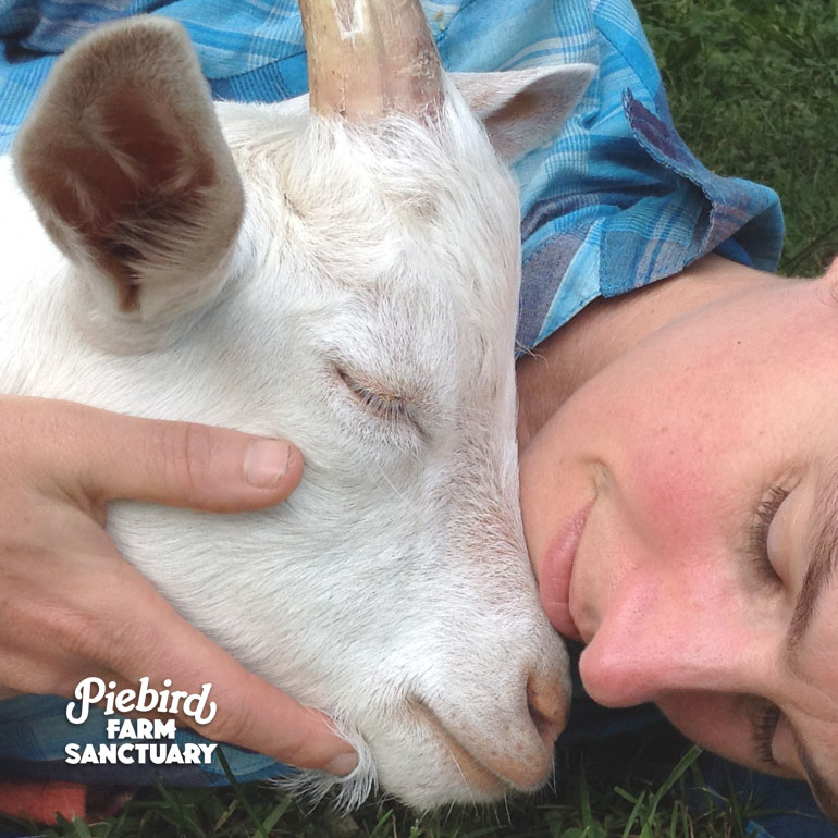 Jollygood now lives at a farm sanctuary in Ontario