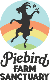Piebird Farm Sanctuary