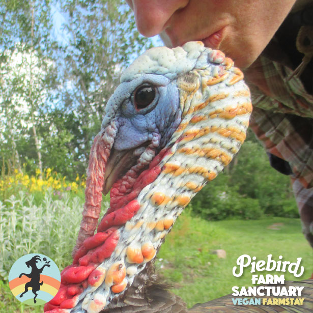 Piebird Farm Sanctuary