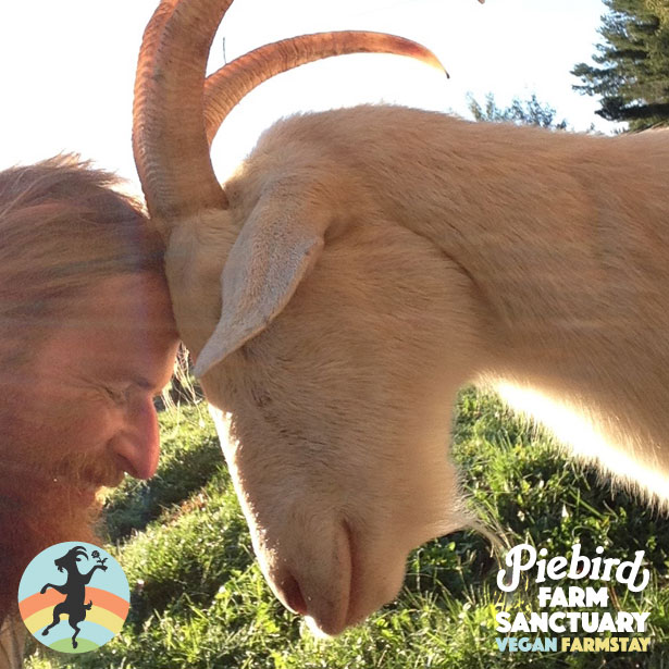 Piebird Farm Sanctuary