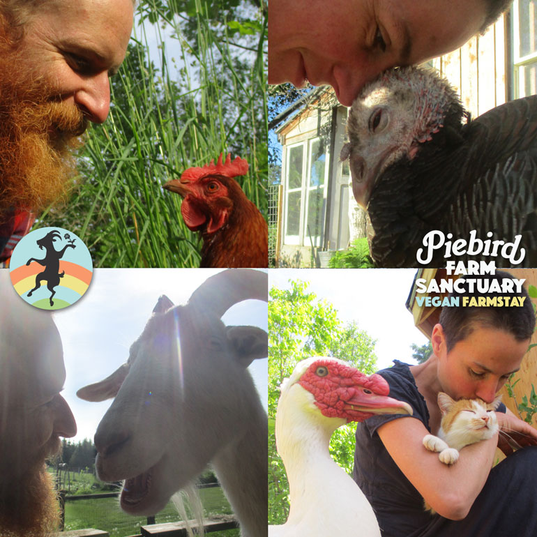Peibird Farm Sanctuary donations