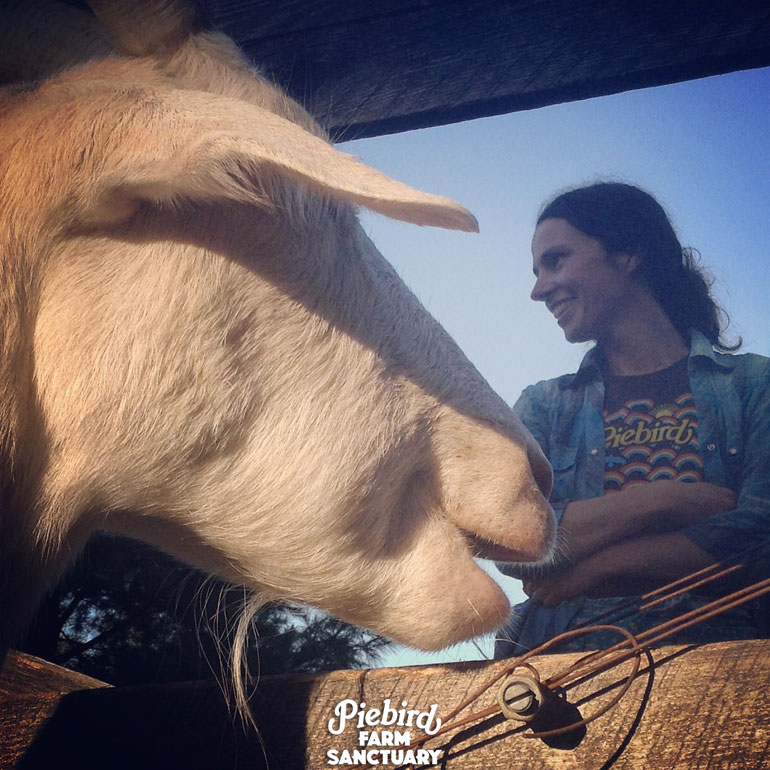 Piebird Vegan Farmstay