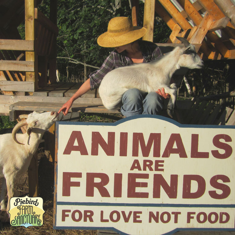 Piebird Vegan Farmstay