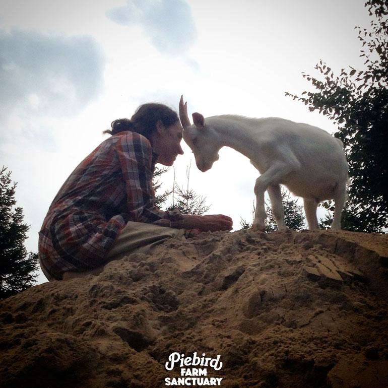 Piebird Farm Sanctuary
