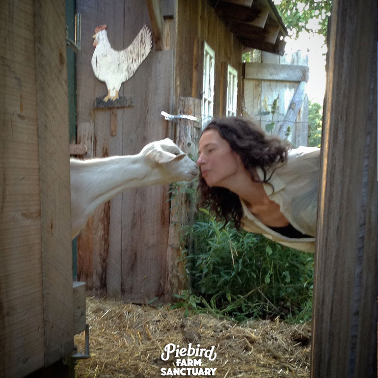 Piebird Farm Sanctuary