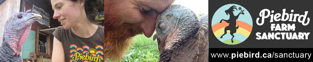 Piebird Farm Sanctuary