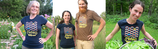 Piebird shirts